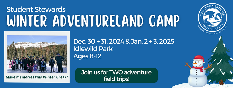 SSP Break Camp WIX banner (4).png